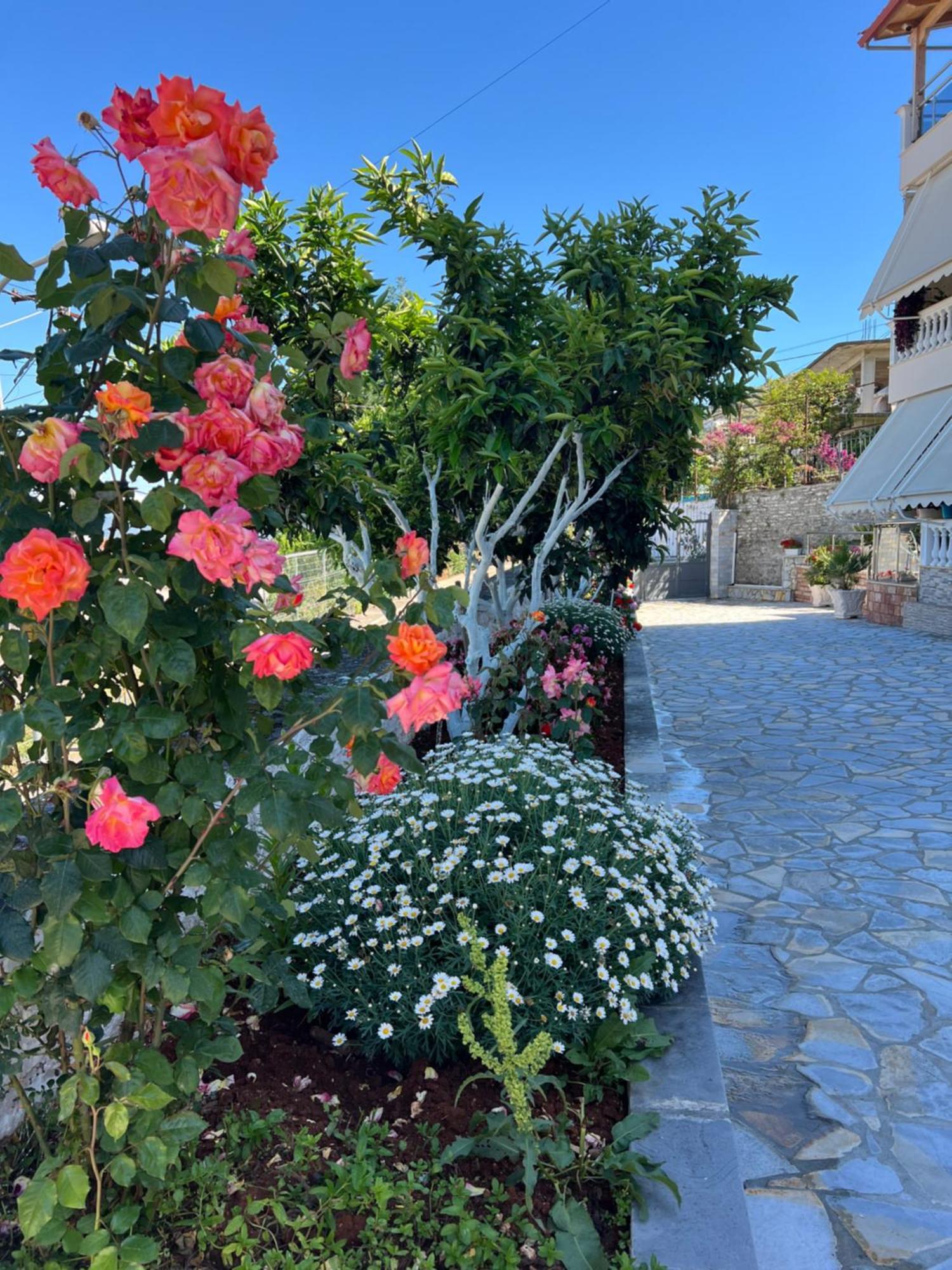 Amazing Familiar Apartments And Rooms Sarande Ngoại thất bức ảnh
