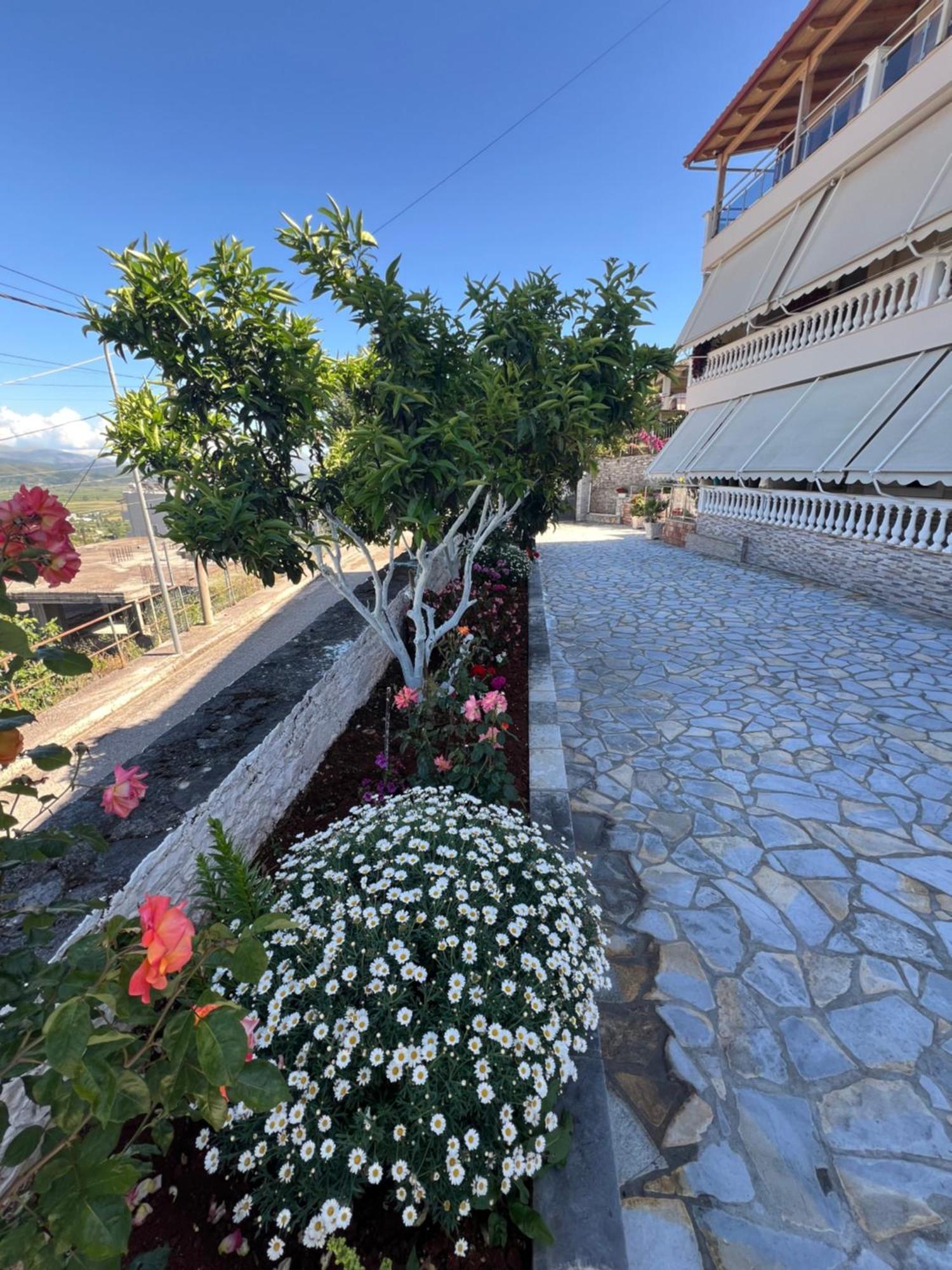 Amazing Familiar Apartments And Rooms Sarande Ngoại thất bức ảnh