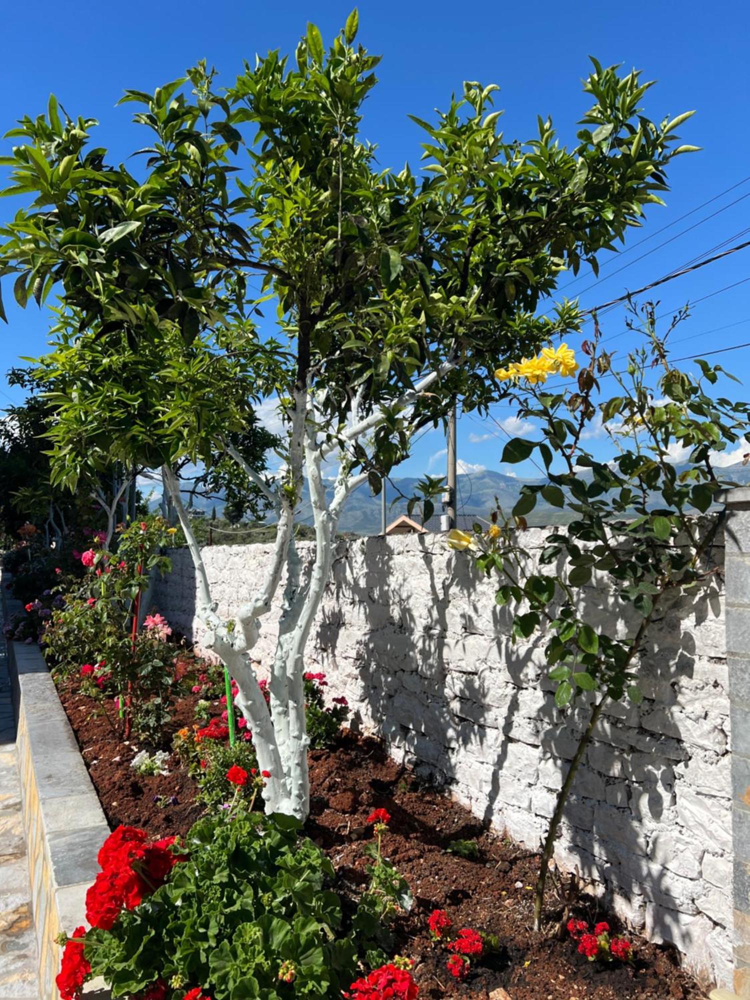 Amazing Familiar Apartments And Rooms Sarande Ngoại thất bức ảnh